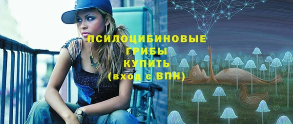 соль курить ск Белокуриха