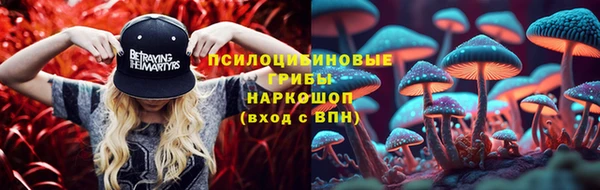 соль курить ск Белокуриха