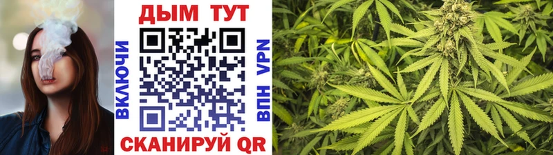Купить закладки  Бирюч  Бошки Шишки Ganja 